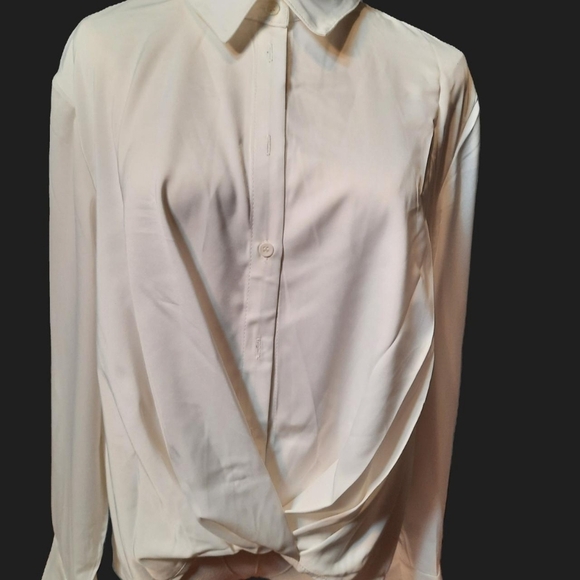 The Cicy Bell Women’s Silk Button-Down Shirt - Picture 2 of 6